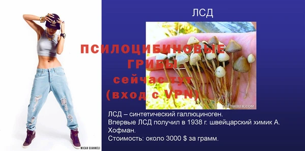 молекула духа Белоозёрский
