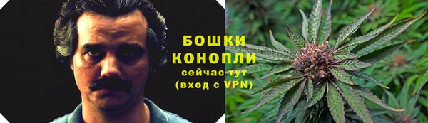МДПВ Белокуриха