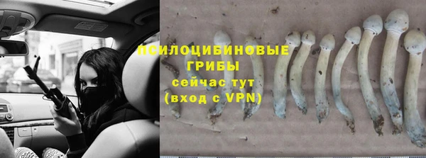 молекула духа Белоозёрский
