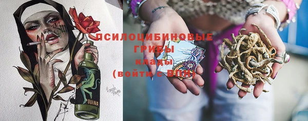 МДПВ Белокуриха